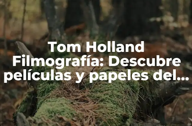 Tom Holland Filmografía: Descubre Películas y Papeles Del Actor Más Joven de Spider-man