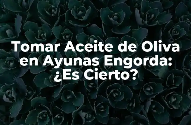 Tomar Aceite de Oliva en Ayunas Engorda: ¿es Cierto? 2 ¿Cuáles Son los Beneficios del Aceite de Oliva para la Salud?