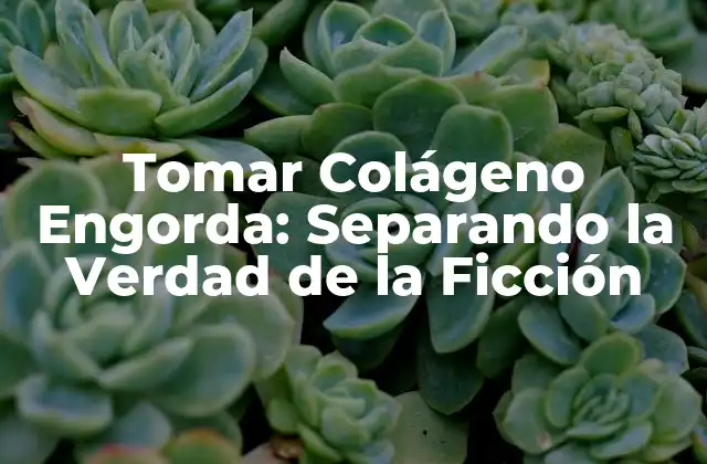 Tomar Colágeno Engorda: Separando la Verdad de la Ficción