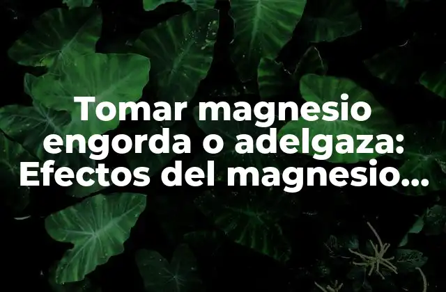 Tomar Magnesio Engorda o Adelgaza: Efectos Del Magnesio en el Peso Corporal
