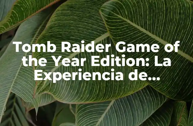 Tomb Raider Game Of The Year Edition: la Experiencia de Aventura Definitiva