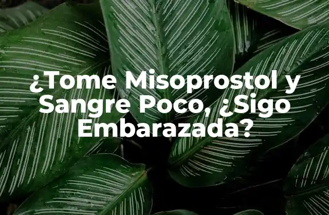 ¿tome Misoprostol y Sangre Poco, ¿sigo Embarazada?