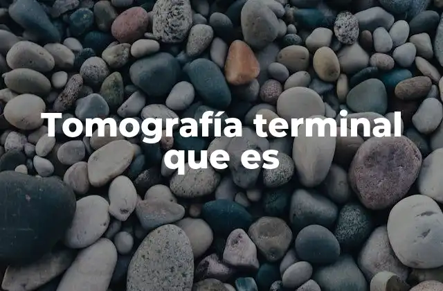 Tomografía Terminal que es