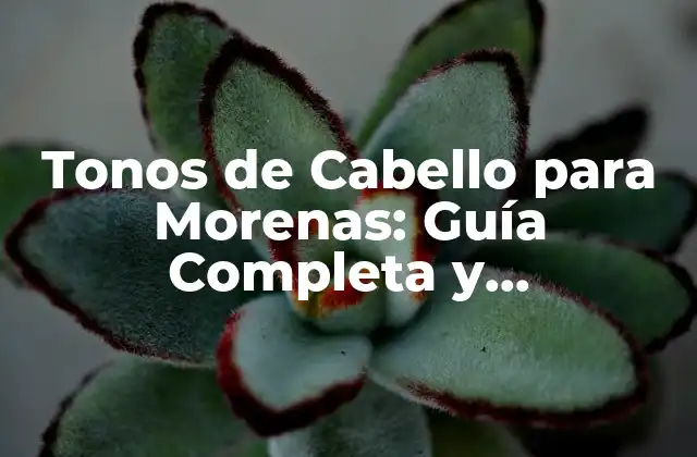 Tonos de Cabello para Morenas: Guía Completa y Actualizada 2 ¿Cuáles son los Tonos de Cabello Naturales para Morenas?