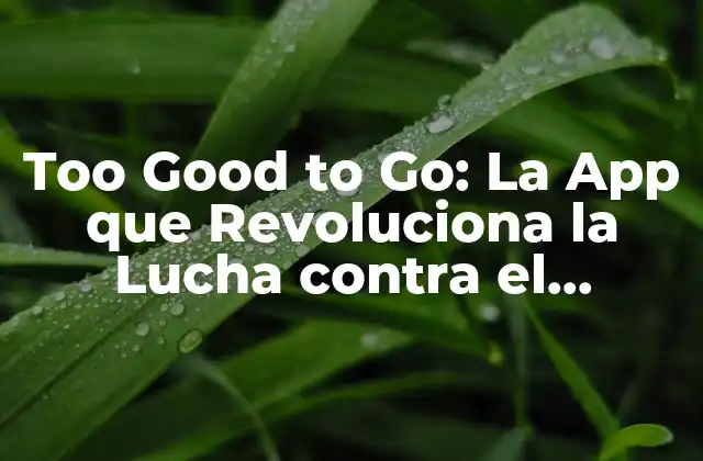 Too Good To Go: la App que Revoluciona la Lucha contra el Desperdicio de Alimentos