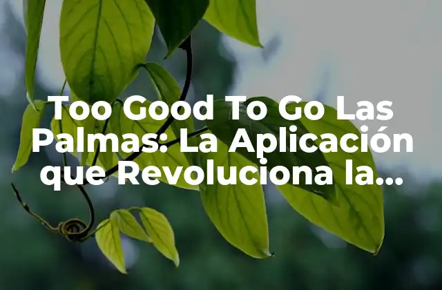 Too Good To Go las Palmas: la Aplicación que Revoluciona la Lucha contra el Desperdicio de Alimentos