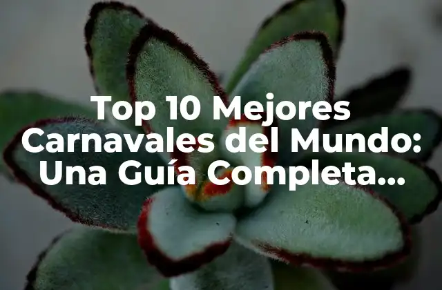 Top 10 Mejores Carnavales Del Mundo: una Guía Completa para Disfrutar de la Fiesta