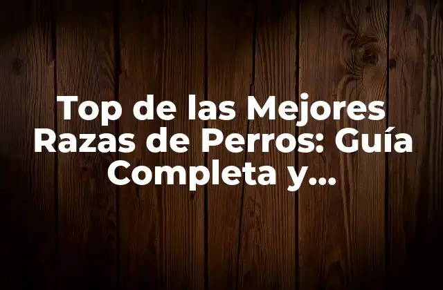 Top de las Mejores Razas de Perros: Guía Completa y Actualizada
