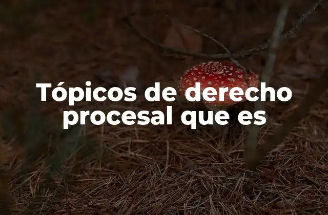 Tópicos de Derecho Procesal que es