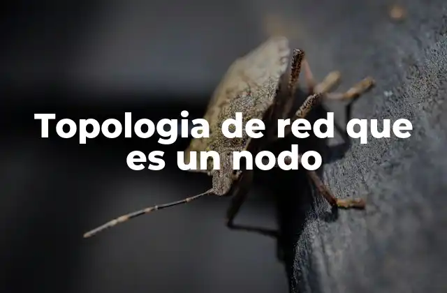 Topologia de Red que es un Nodo
