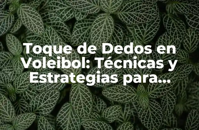 Toque de Dedos en Voleibol: Técnicas y Estrategias para Mejorar Tu Juego