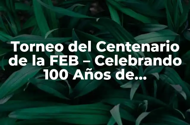 Torneo Del Centenario de la Feb – Celebrando 100 Años de Baloncesto en España
