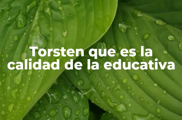 Torsten que es la Calidad de la Educativa