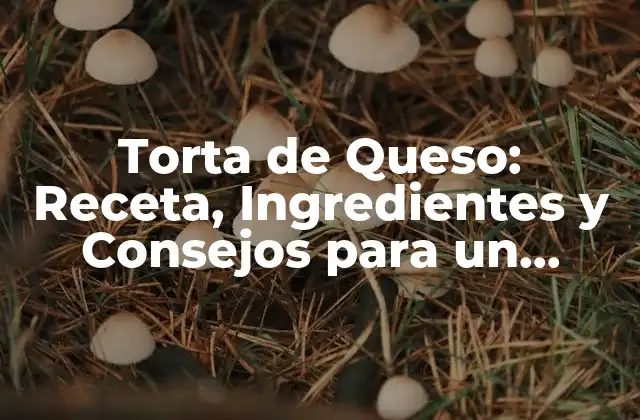 Torta de Queso: Receta, Ingredientes y Consejos para un Postre Exquisito
