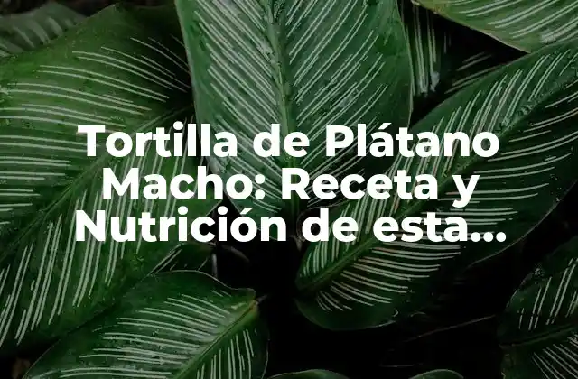 Tortilla de Plátano Macho: Receta y Nutrición de Esta Delicatessen Dominicana