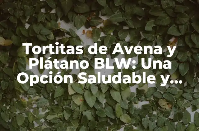 Tortitas de Avena y Plátano Blw: una Opción Saludable y Divertida para Bebés