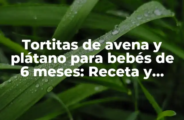 Tortitas de Avena y Plátano para Bebés de 6 Meses: Receta y Beneficios
