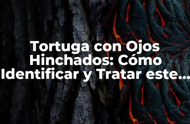 Tortuga con Ojos Hinchados: Cómo Identificar y Tratar Este Problema Común