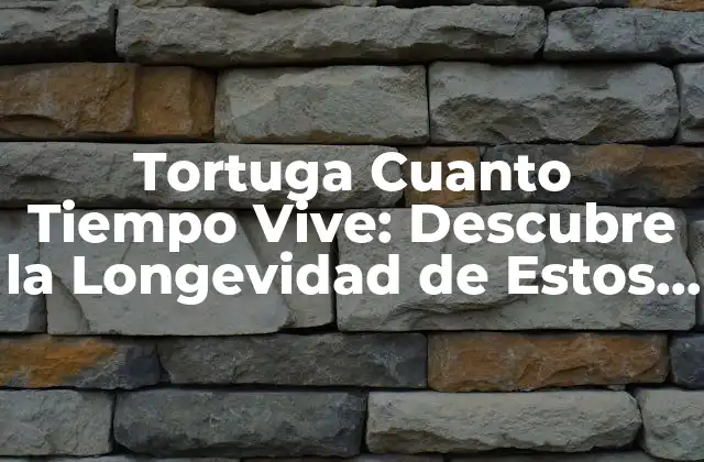 Tortuga Cuanto Tiempo Vive: Descubre la Longevidad de Estos Animales