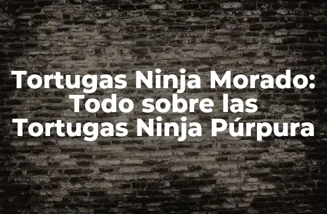 Tortugas Ninja Morado: Todo sobre las Tortugas Ninja Púrpura