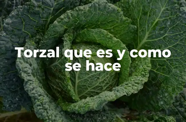 Torzal que es y como Se Hace
