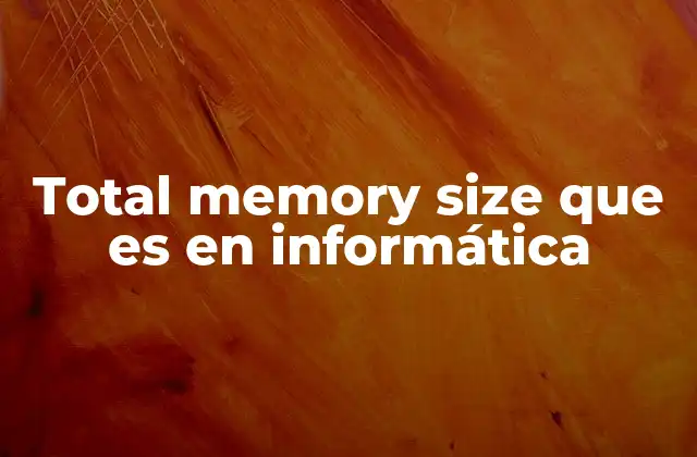 Total Memory Size que es en Informática