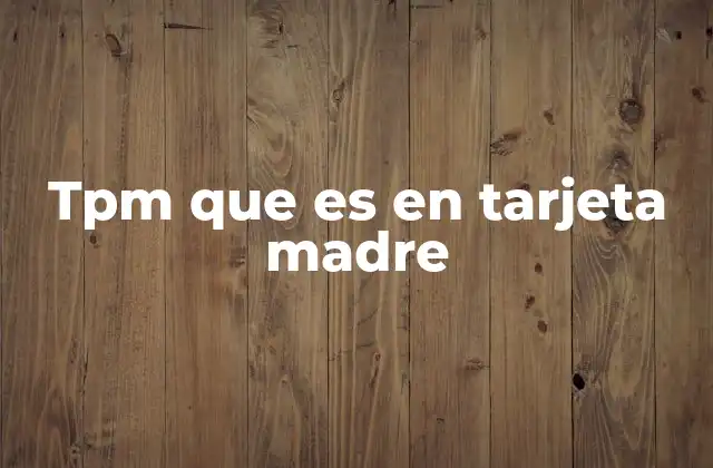 Tpm que es en Tarjeta Madre
