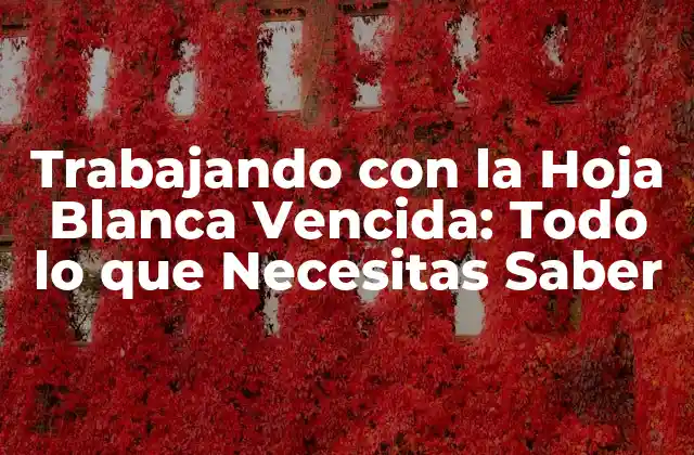 Trabajando con la Hoja Blanca Vencida: Todo Lo que Necesitas Saber