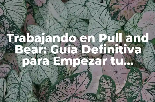Trabajando en Pull And Bear: Guía Definitiva para Empezar Tu Carrera 2 ¿Cuáles son los beneficios de trabajar en Pull and Bear?