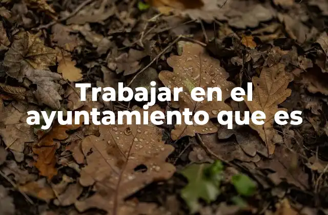 Trabajar en el Ayuntamiento que es
