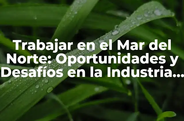 Trabajar en el Mar Del Norte: Oportunidades y Desafíos en la Industria Offshore