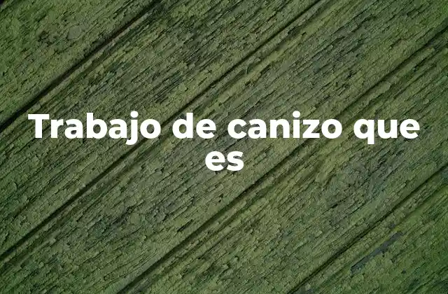 Trabajo de Canizo que es