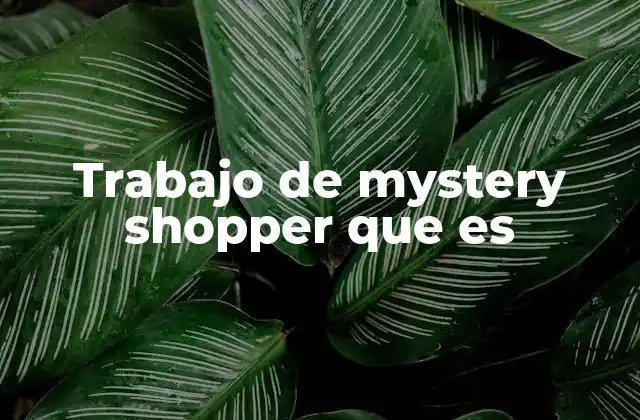 Trabajo de Mystery Shopper que es