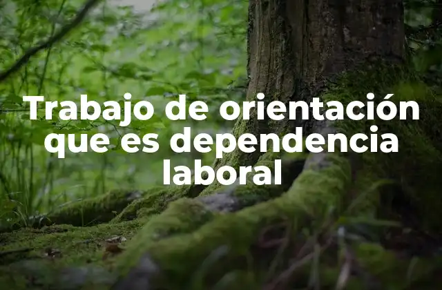 Trabajo de Orientación que es Dependencia Laboral