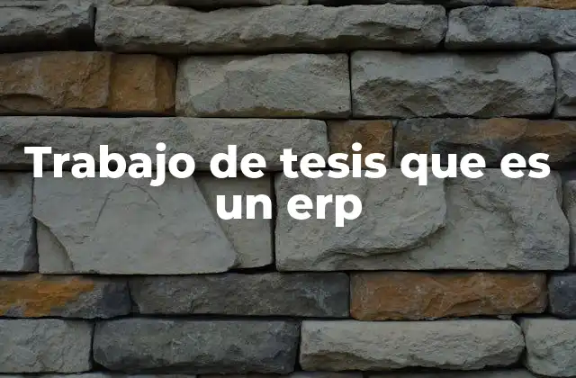 Trabajo de Tesis que es un Erp