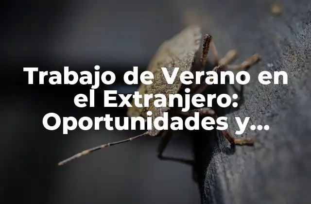 Trabajo de Verano en el Extranjero: Oportunidades y Experiencias Únicas