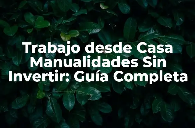 Trabajo desde Casa Manualidades sin Invertir: Guía Completa