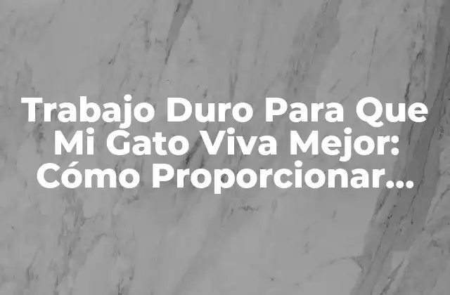 Trabajo Duro para que Mi Gato Viva Mejor: Cómo Proporcionar una Vida Feliz y Saludable a Tu Mascota