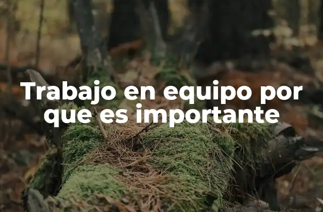 Trabajo en Equipo por que es Importante