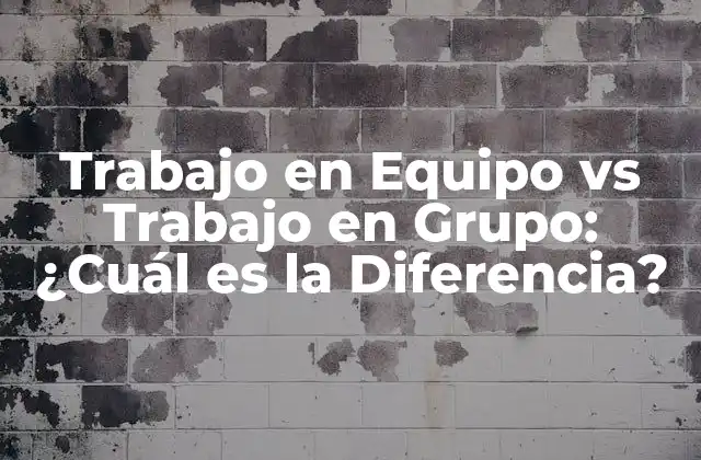 Trabajo en Equipo Vs Trabajo en Grupo: ¿cuál es la Diferencia?