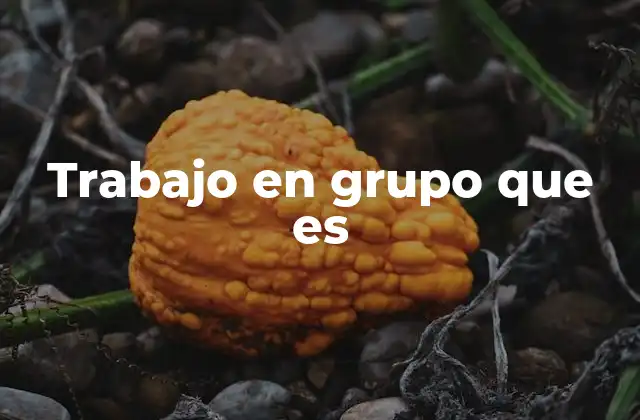 Trabajo en Grupo que es