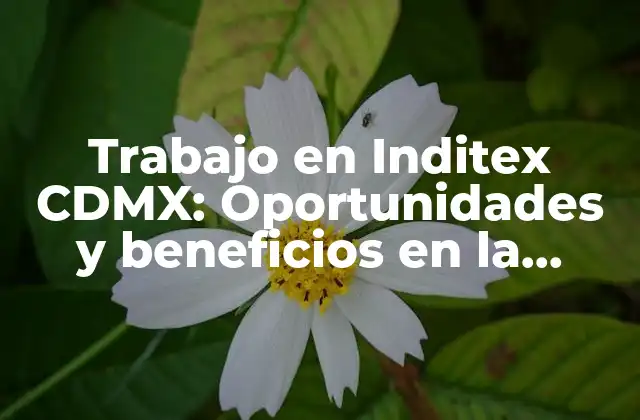 Trabajo en Inditex Cdmx: Oportunidades y Beneficios en la Capital Mexicana