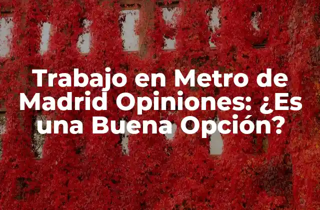 Trabajo en Metro de Madrid Opiniones: ¿es una Buena Opción?