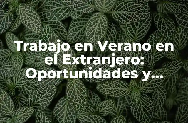 Trabajo en Verano en el Extranjero: Oportunidades y Experiencias Únicas