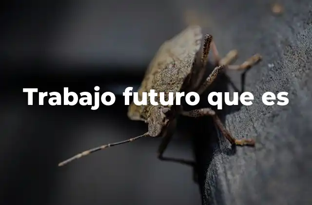 Trabajo Futuro que es