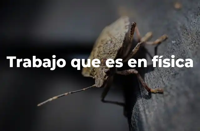 Trabajo que es en Física