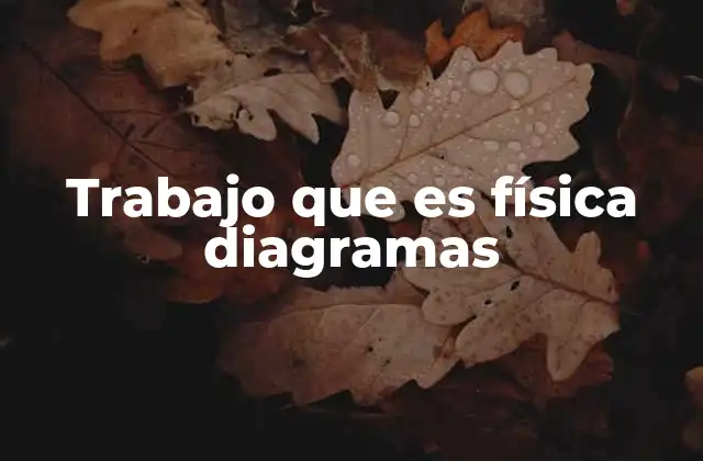 Trabajo que es Física Diagramas