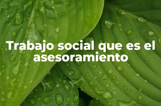 Trabajo Social que es el Asesoramiento