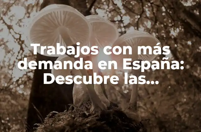 Trabajos con Más Demanda en España: Descubre las Oportunidades Laborales Más Solicitadas