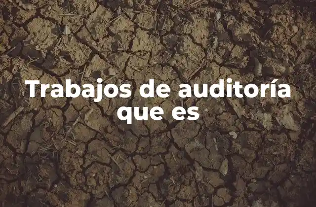 Trabajos de Auditoría que es